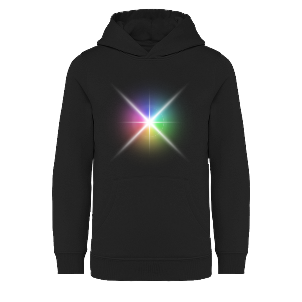 Hoodie [hummingbird]