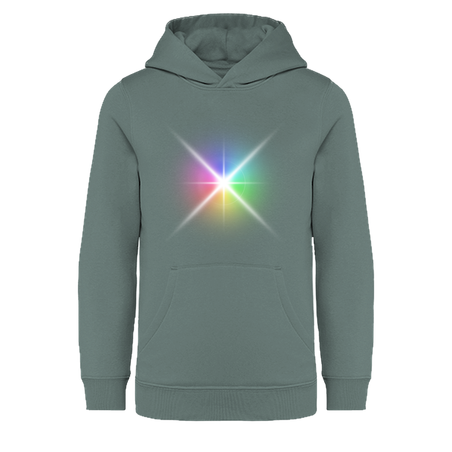 Hoodie [hummingbird]